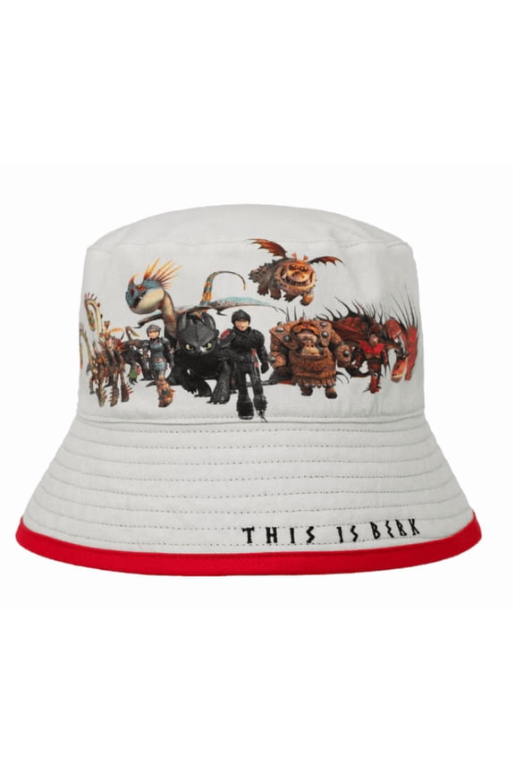 Studios How Train Your Dragon This is Berk Reversible Bucket Hat New