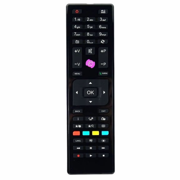 Universal TV Remote RC4875 Television Remote Control for TECHWOOD Television