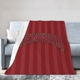 thumbnail image 1 of University Of Denver Ultra-Soft Micro Fleece Blanket Multi-Size Flannel Blanket, 1 of 7