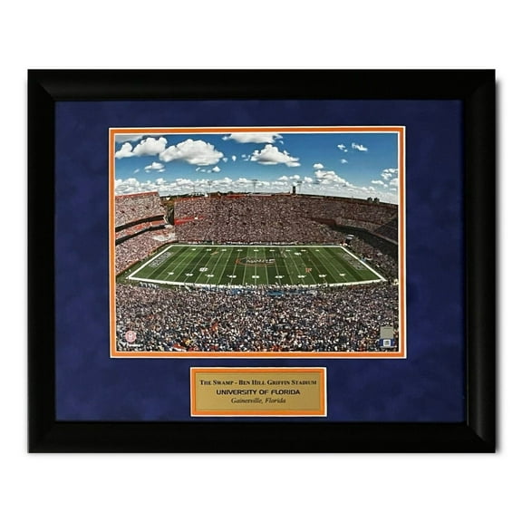 University Of Florida Gators The Swamp Photograph Framed to 16x20