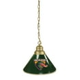 thumbnail image 1 of UAB Blazers Silver Chain Single Shade Billiard Light, 1 of 4