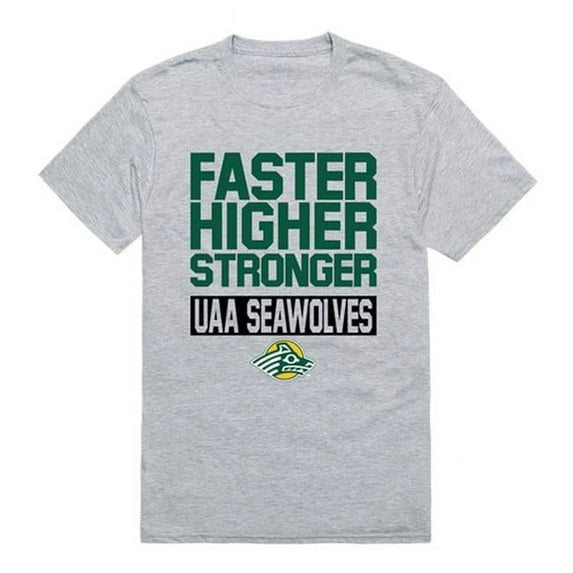 University of Alaska Anchorage Men Workout T-Shirt, Heather Grey - 2XL