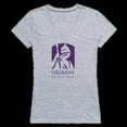 thumbnail image 1 of University of Albany Great Danes Womens Seal T-Shirt, Heather Grey - 2XL, 1 of 1