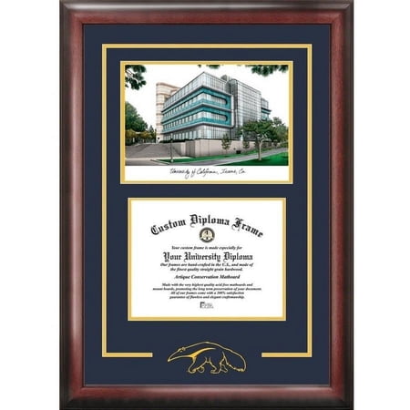 University of California, Irvine 8.5" x 11" Spirit Graduate Diploma Frame