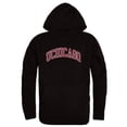 thumbnail image 1 of University of Chicago Maroons Campus Hoodie, Black - Small, 1 of 1