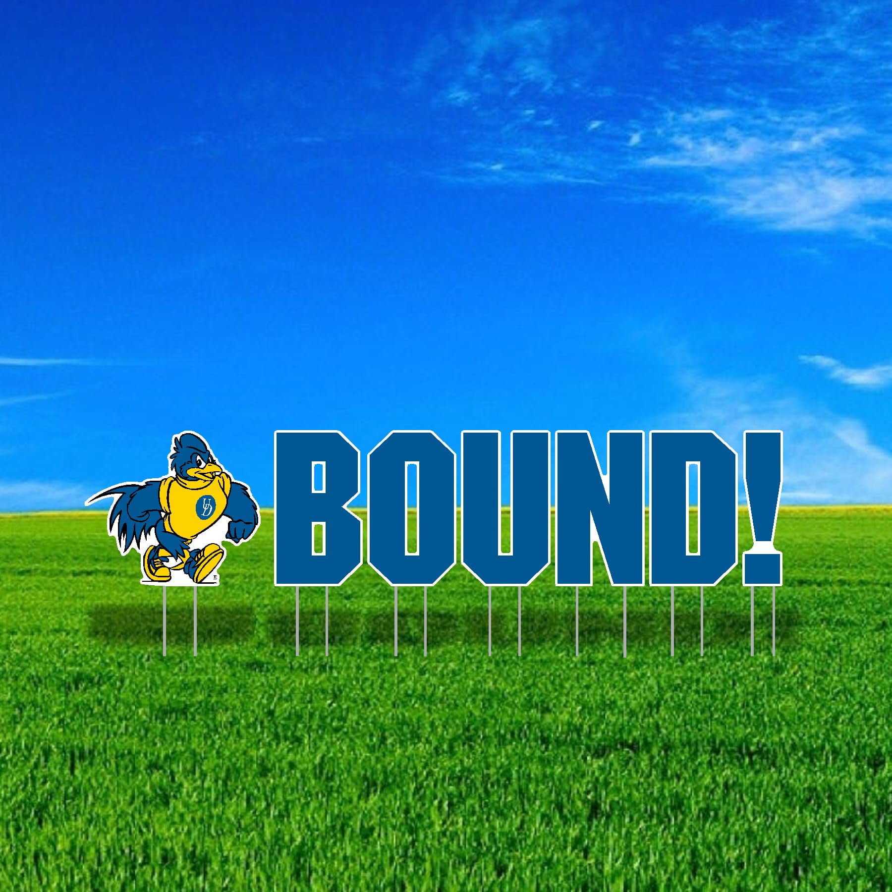 University of Delaware BOUND Mascot Yard Sign Set