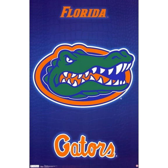 University of Florida 11 Poster Print (22 x 34)