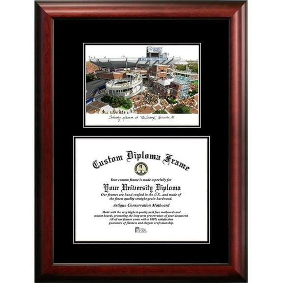 University of Florida, the Swamp 16 x 11.5 Diplomate