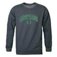 thumbnail image 1 of University of Hawaii Men Campus Crewneck Sweatshirt, Heather Charcoal - Medium, 1 of 1