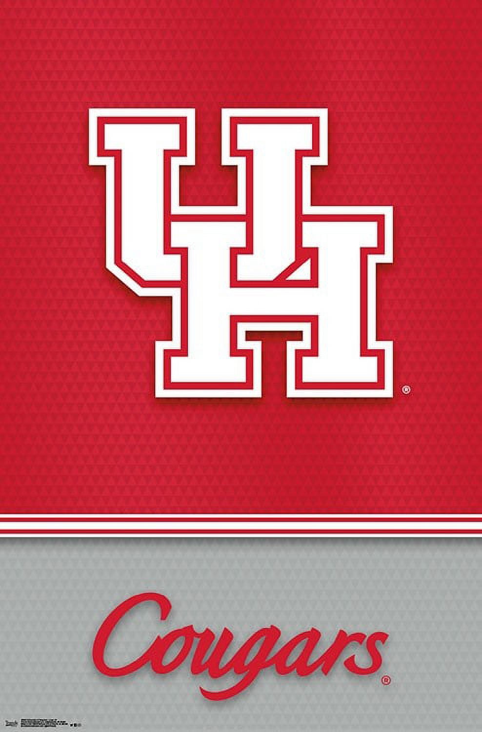 Houston Community College 18 x 30 Team Logo Doormat