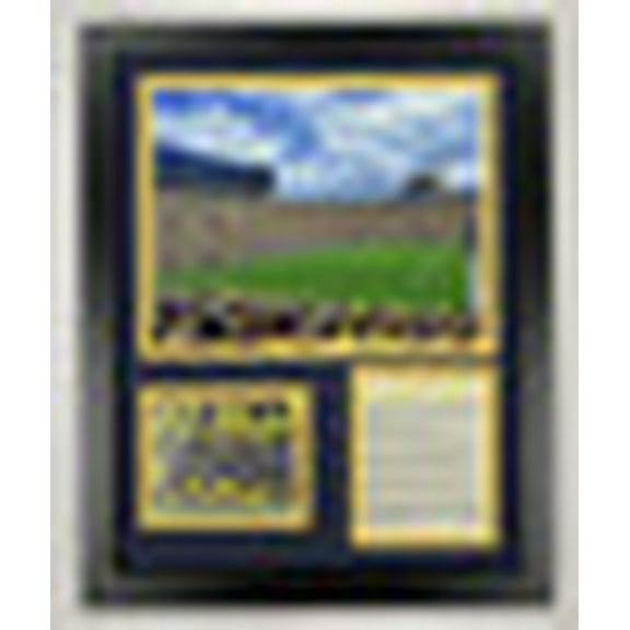 University of Michigan "The Big House" Stadium Collectible