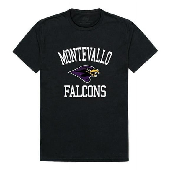 University of Montevallo Falcons Arch T-Shirt, Black - Small