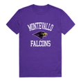 thumbnail image 1 of University of Montevallo Falcons Arch T-Shirt, Purple - 2XL, 1 of 1
