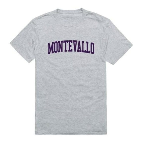 University of Montevallo Falcons Game Day T-Shirt, Heather Grey - 2XL