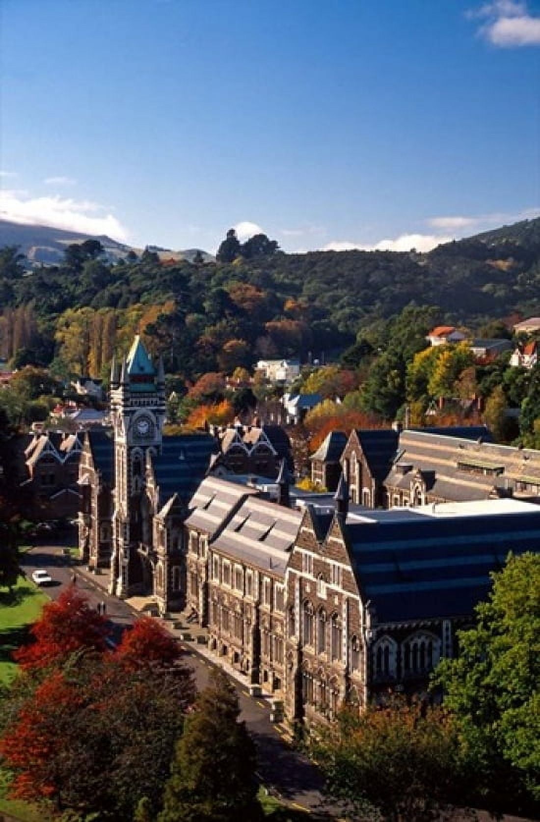 University of Otago Dunedin New Zealand Canvas Art - David Wall DanitaDelimont (12 x 18)