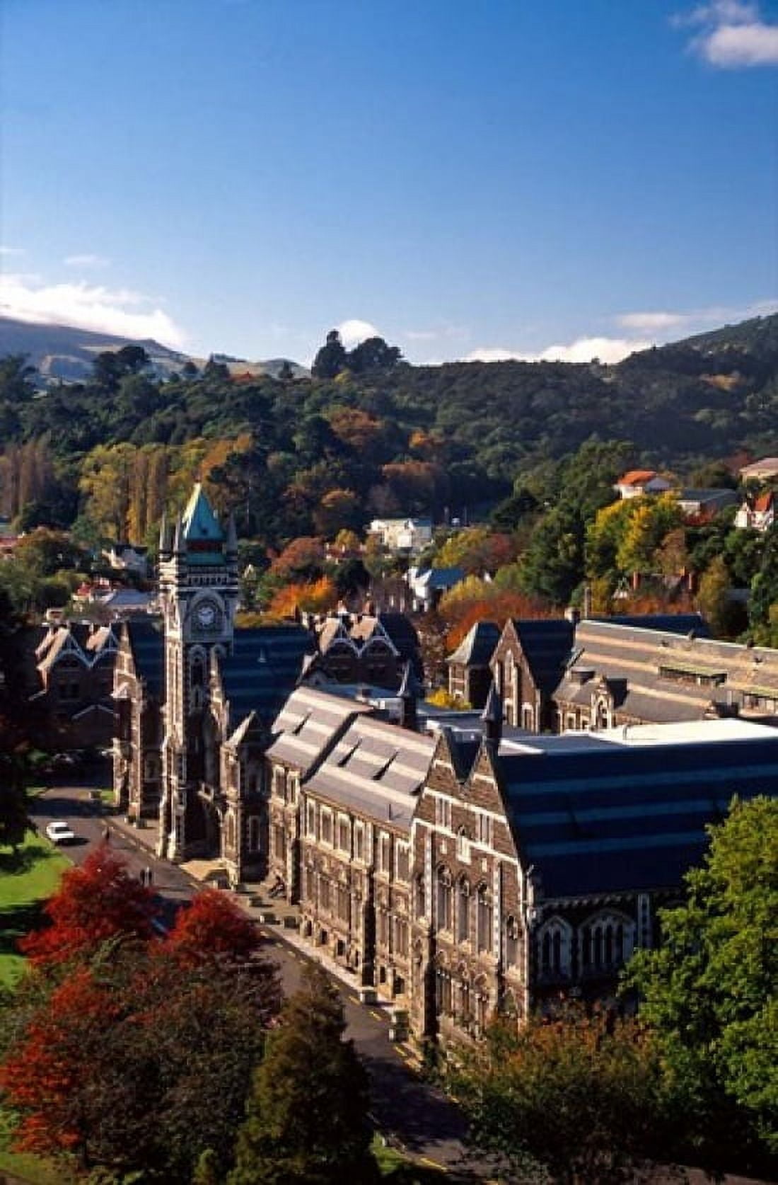 University of Otago Dunedin New Zealand Canvas Art - David Wall DanitaDelimont (24 x 37)