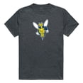 thumbnail image 1 of University of Rochester Cinder Tee for Men, Heather Charcoal - Large, 1 of 1