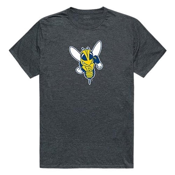 University of Rochester Cinder Tee for Men, Heather Charcoal - Large