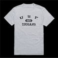 thumbnail image 1 of University of Sioux Falls Cougars Distressed Arch College T-Shirt, Heather Grey - Medium, 1 of 1