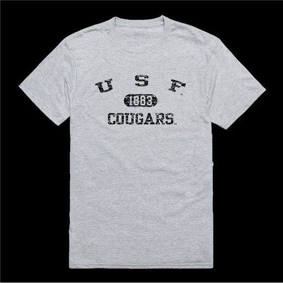 University of Sioux Falls Cougars Distressed Arch College T-Shirt, Heather Grey - Medium