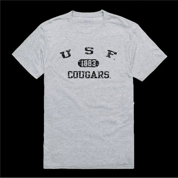 University of Sioux Falls Cougars Distressed Arch College T-Shirt, Heather Grey - Small