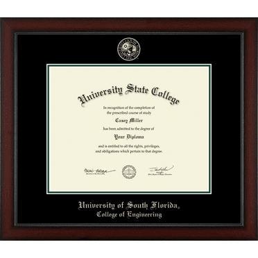 University of South Florida College of Engineering Diploma Frame, Document Size 14" x 11"