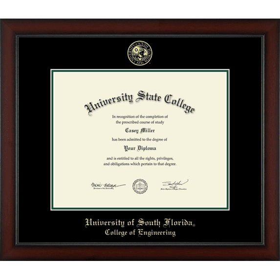 University of South Florida College of Engineering Diploma Frame, Document Size 14" x 11"