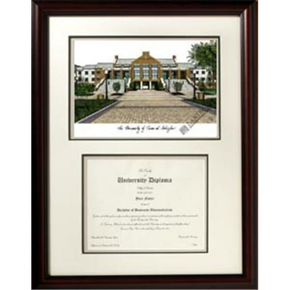 University of Texas  Arlington Scholar