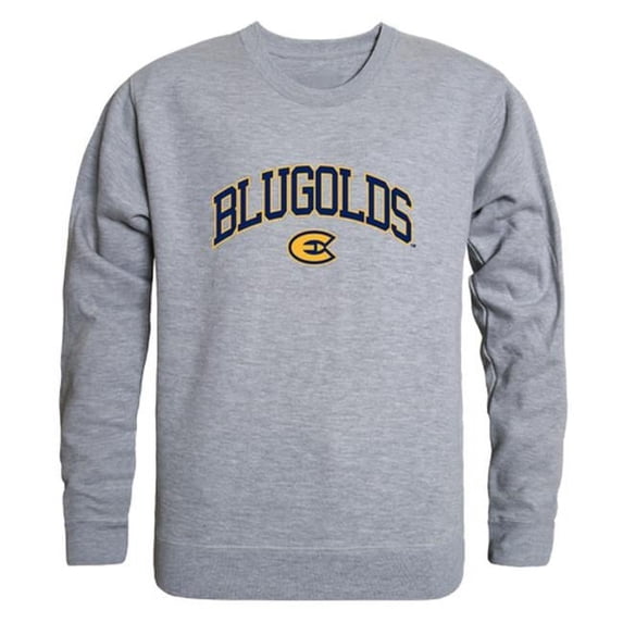 University of Wisconsin-Eau Claire Men Campus Crewneck Sweatshirt, Heather Grey - Medium