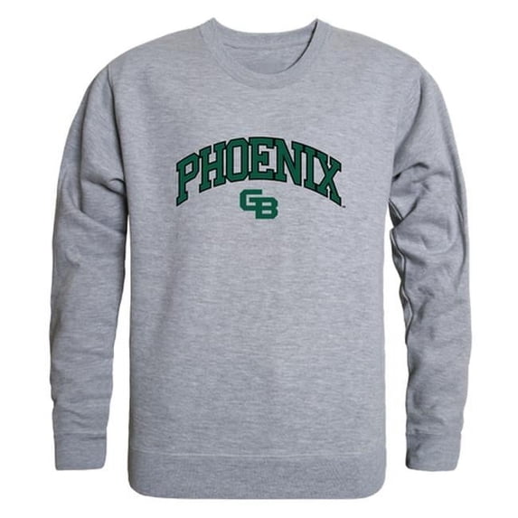 University of Wisconsin-Green Bay Men Campus Crewneck Sweatshirt, Heather Grey - Medium