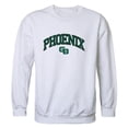 thumbnail image 1 of University of Wisconsin-Green Bay Men Campus Crewneck Sweatshirt, White - 2XL, 1 of 1