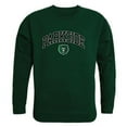 thumbnail image 1 of University of Wisconsin-Parkside Rangers Campus Crewneck Sweatshirt, Forest Green - Extra Large, 1 of 1