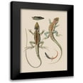 thumbnail image 1 of Unknown 11x14 Black Modern Framed Museum Art Print Titled - Antique Lizards II, 1 of 5
