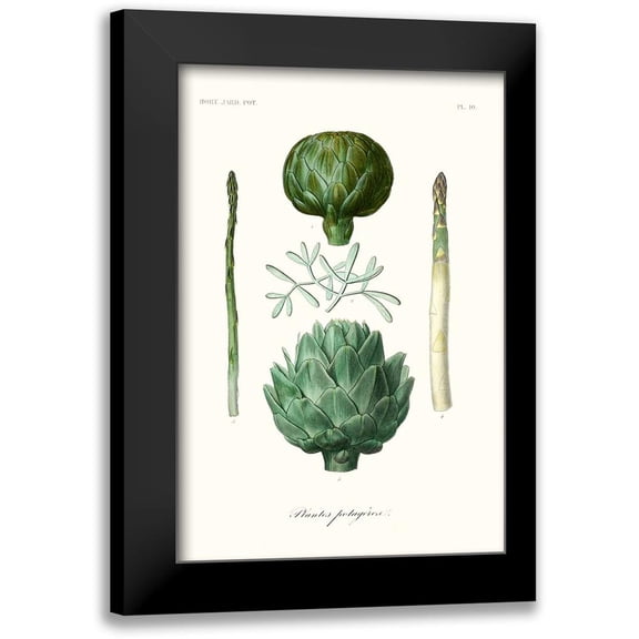 Unknown 11x14 Black Modern Framed Museum Art Print Titled - Fruit And Vegetable Varieties II