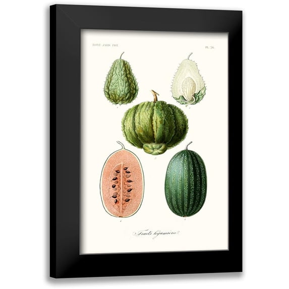 Unknown 11x14 Black Modern Framed Museum Art Print Titled - Fruit And Vegetable Varieties VIII