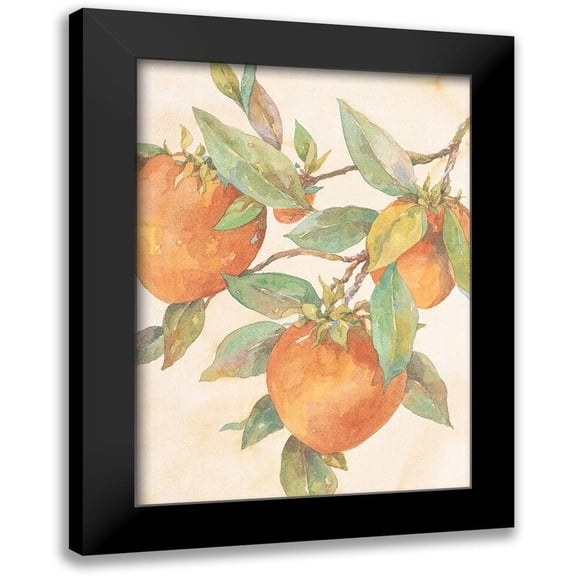 Unknown 11x14 Black Modern Framed Museum Art Print Titled - Hanging Peaches