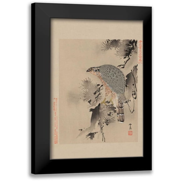 Unknown 11x14 Black Modern Framed Museum Art Print Titled - Hawk