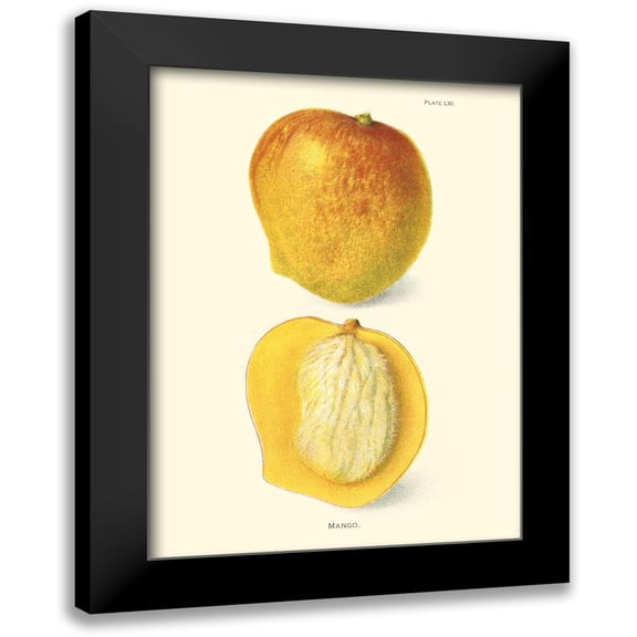 Unknown 11x14 Black Modern Framed Museum Art Print Titled - Mango