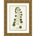 thumbnail image 1 of Unknown 11x14 Gold Ornate Wood Framed with Double Matting Museum Art Print Titled - Nature Printed Ferns I, 1 of 4