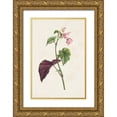 thumbnail image 1 of Unknown  11x14 Gold Ornate Wood Framed with Double Matting Museum Art Print Titled - Pretty Pink Botanicals VI, 1 of 4