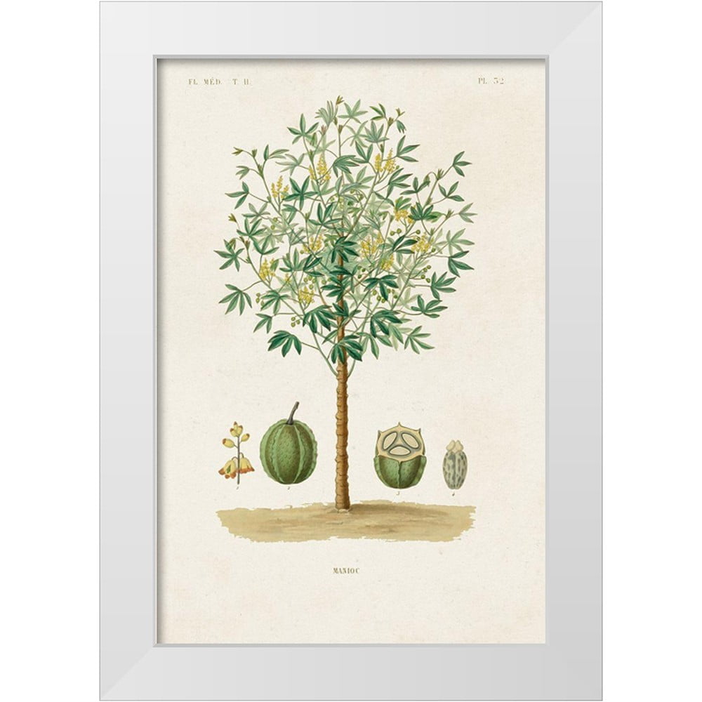 Unknown 11x14 White Modern Wood Framed Museum Art Print Titled ...