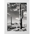 thumbnail image 1 of Unknown 11x14 White Modern Wood Framed Museum Art Print Titled - Cactus, 1 of 4