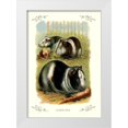 thumbnail image 1 of Unknown 11x14 White Modern Wood Framed Museum Art Print Titled - Guinea Pigs, 1900, 1 of 4