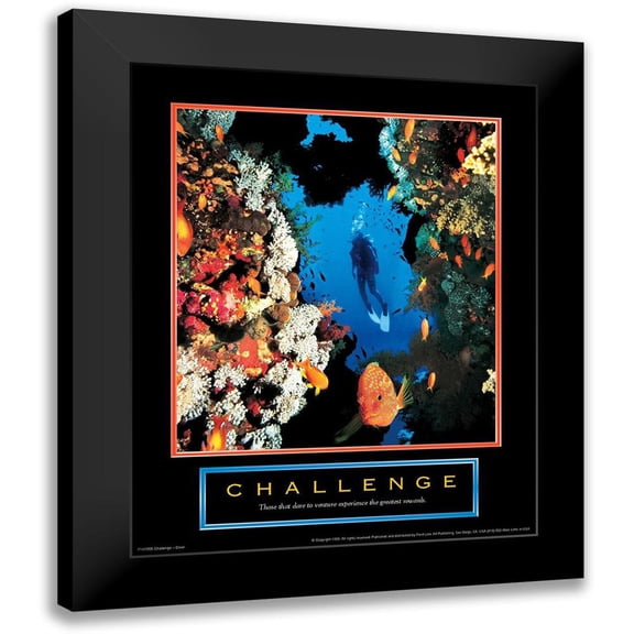 Unknown 12x14 Black Modern Framed Museum Art Print Titled - Challenge - Diver