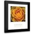 thumbnail image 1 of Unknown 12x14 Black Modern Framed Museum Art Print Titled - Elegance - Peach Rose, 1 of 5