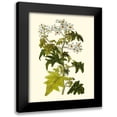 thumbnail image 1 of Unknown 12x14 Black Modern Framed Museum Art Print Titled - Olive Greenery VI, 1 of 5