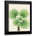 thumbnail image 1 of Unknown 12x14 Black Modern Framed Museum Art Print Titled - Palm Fronds, 1 of 5