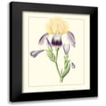thumbnail image 1 of Unknown 12x14 Black Modern Framed Museum Art Print Titled - Purple Irises II, 1 of 5