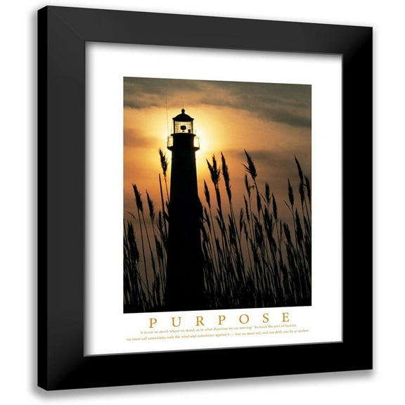 Unknown 12x14 Black Modern Framed Museum Art Print Titled - Purpose - Lighthouse in Reeds