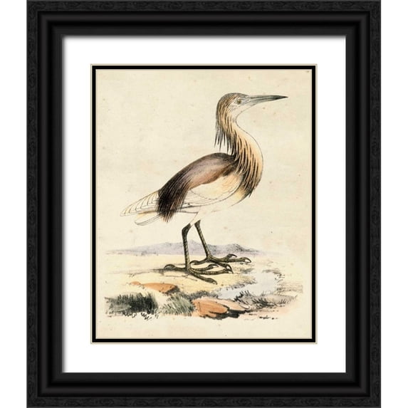 Unknown 12x14 Black Ornate Wood Framed with Double Matting Museum Art Print Titled - Antique Heron I